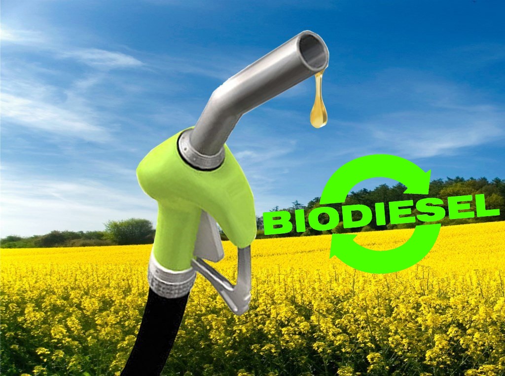  Биодизель 